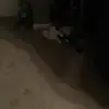 lance.armen - @lance.armen - TikTok