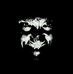 Lance Amos - Facebook