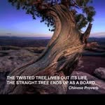 Lance Andersen - @lance.out.wandering.around - Instagram