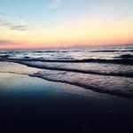 Lance Appleby - @lance.appleby - Instagram