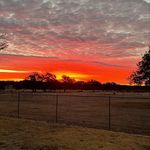 Lance Arp - @last.call.ranch - Instagram