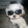 Lance Arroyo - @lance.arroyo2 - TikTok