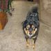 Lance Attaway - Facebook