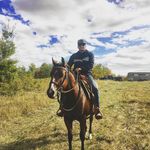 Lance Badger - @badger003 - Instagram