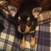 Lance Baldwin - Facebook