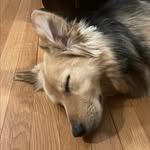 Lance Baldwin - @lance.baldwindc - Instagram