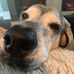 Lance Ballenger - Facebook