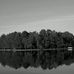 Lance Barfield - Facebook