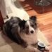 Lance Barker - Facebook