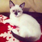 @lance_barker - Instagram