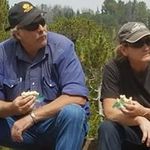 Lance Barnes - @lancebarnes1939 - Instagram