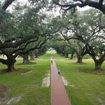 Lance Barry - @lance.barry.50 - Instagram