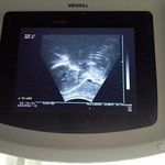 Lance Benjamin - @lance.benjamin.524 - Instagram