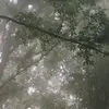 Lance Benoit - @lance.benoit - TikTok