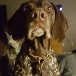 Lance Bird - @lance.bird.10 - Instagram