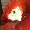 lancebrandt542 - @lancebrandt542 - TikTok