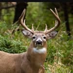 Lance Brookins - @hunting_madness03 - Instagram