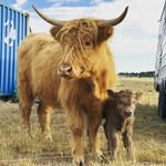 Lance & Sara Brooks - @brooksfaunaranch - Instagram