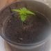 Lance Brown - Facebook