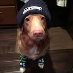 Lance Bunch - @ecnal1971 - Instagram
