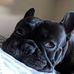 Lance Byrd - Facebook