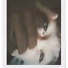 Lance Cabrera - @lancecabreraii - TikTok