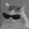 Lance Camacho - @lance.camacho7 - TikTok