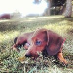 Lance Cantrell - @bigstoriessaren - Instagram