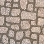 Lance Casey - @lancemovedtooregon - Instagram