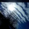 Lance Clarke - @lance.clarke24 - TikTok