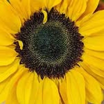 Lance Coble - @lancecoble73 - Instagram