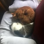 Lance Combs - @lance_theundead - Instagram