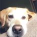 Lance Conner - Facebook