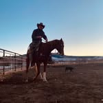 Lance Cook - @lancecook1019 - Instagram