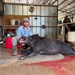 Lance Cook - @lance.cook.5 - Instagram