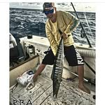 Lance Covert - @lance.covert - Instagram