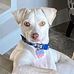 Lance Culver - Facebook