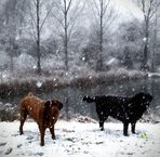 Lance Dailey - Facebook