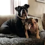 Davey + Laney - @dlou314 - Instagram