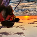 Lance Doty - Facebook