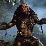 Lance Dow - @lancedow - Instagram