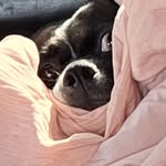 Lance Dowless - @lance_dowless - Instagram