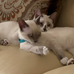 Lance N Patricia Eaton - Facebook