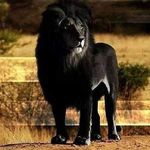 Lance Elam - @elam_lance - Instagram