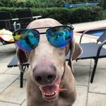 Lance Fargo - @lancefargo - Instagram
