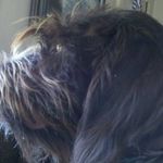 Lance Faust - @faustle0 - Instagram