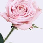 Lance Field - @lancefield334 - Instagram