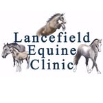 Lancefield Equine Clinic - @lancefieldequineclinic - Instagram