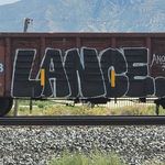 Lance Finch - @lance.finch.146 - Instagram