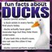Lance Flavell - Facebook